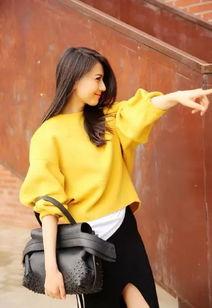 高圆圆退出娱乐圈,告别银幕生涯