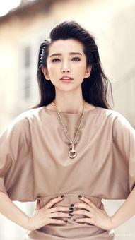 明星李冰冰,璀璨星途与公益情怀的完美融合