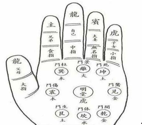 八卦相冲突,揭秘命运交织的神秘面纱