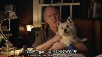 超搞笑的美剧,盘点那些让人捧腹大笑的美剧神作